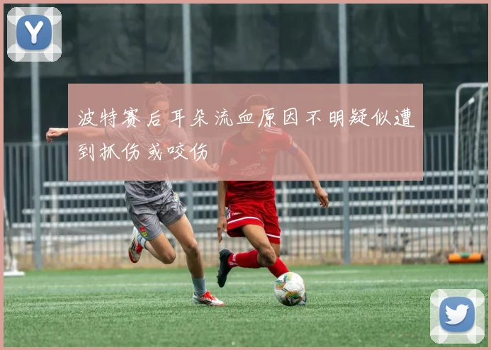 波特赛后耳朵流血原因不明疑似遭到抓伤或咬伤